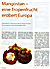 Presseartikel: B-young / Frhjahr 2009: Mangostan - eine Tropenfrucht erobert Europa