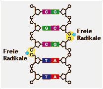 Xanthone